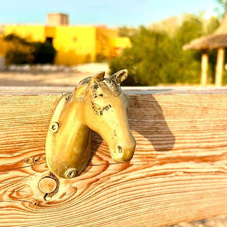 Eco-Ranch Salome Apartment Sidi Kaouki Bagian luar foto