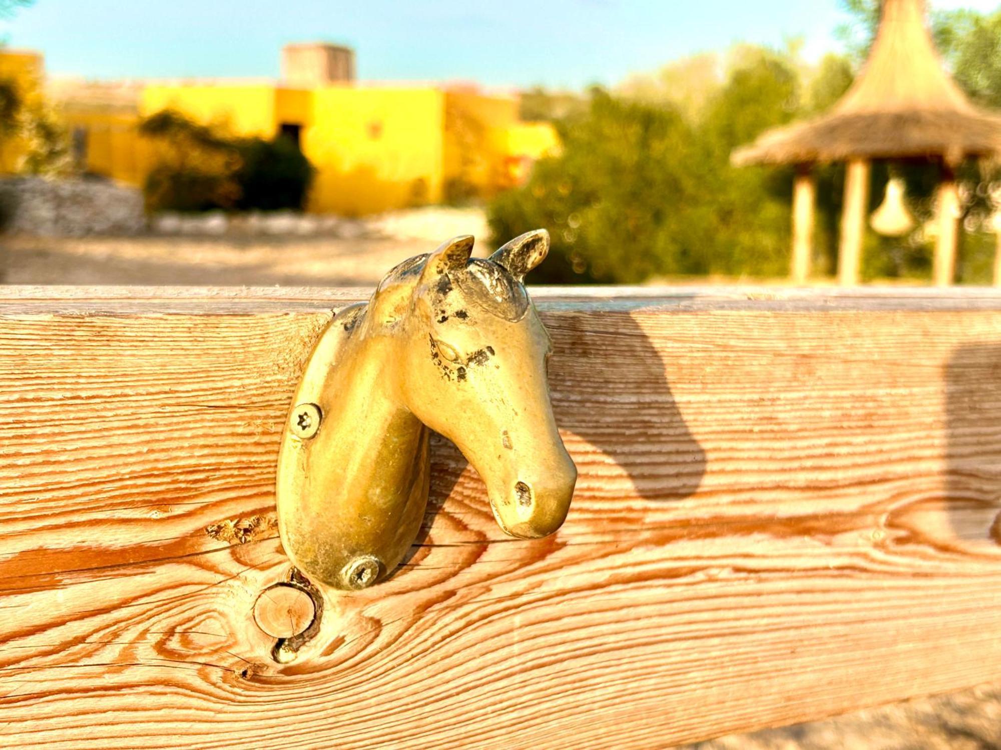 Eco-Ranch Salome Apartment Sidi Kaouki Bagian luar foto